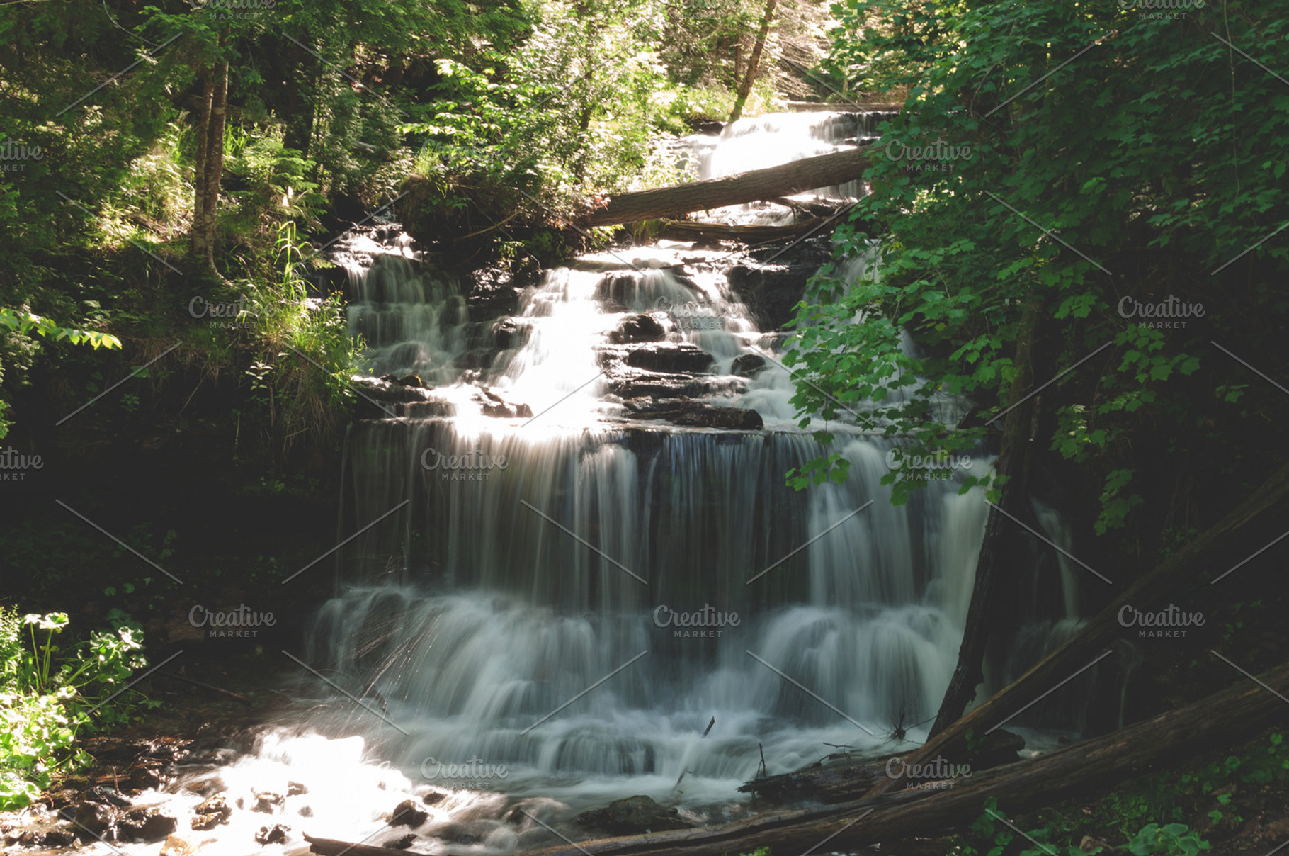 Lush Falls