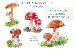 Watercolor Autumn Mushrooms