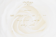 Authumn Sofia | Calligraphy Font, a Script Font by Analogous (Thumbnail 14 of 16)