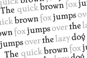 Algae Modern Serif Font, a Serif Font by Voleshads (Thumbnail 7 of 9)
