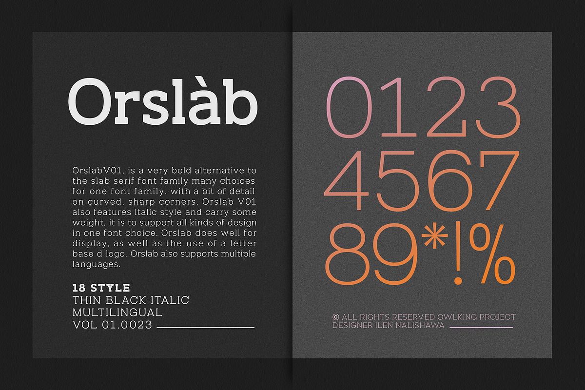 Orslab V01, a Slab Serif Font by OWL KING (Photo 1 of 9)