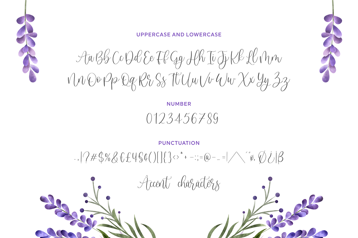 Sweet Lavender - Modern Handwritten