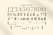 Starlight – Stylish Editorial Font, a Serif Font by Sensatype (Thumbnail 16 of 17)