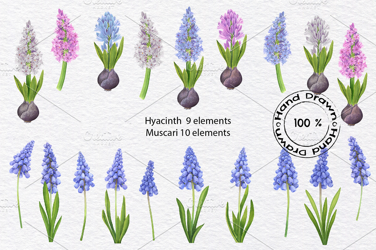 Watercolor wild spring flowers set, a Decorative Illustration by KathrineWatercolor (Photo 7 of 10)