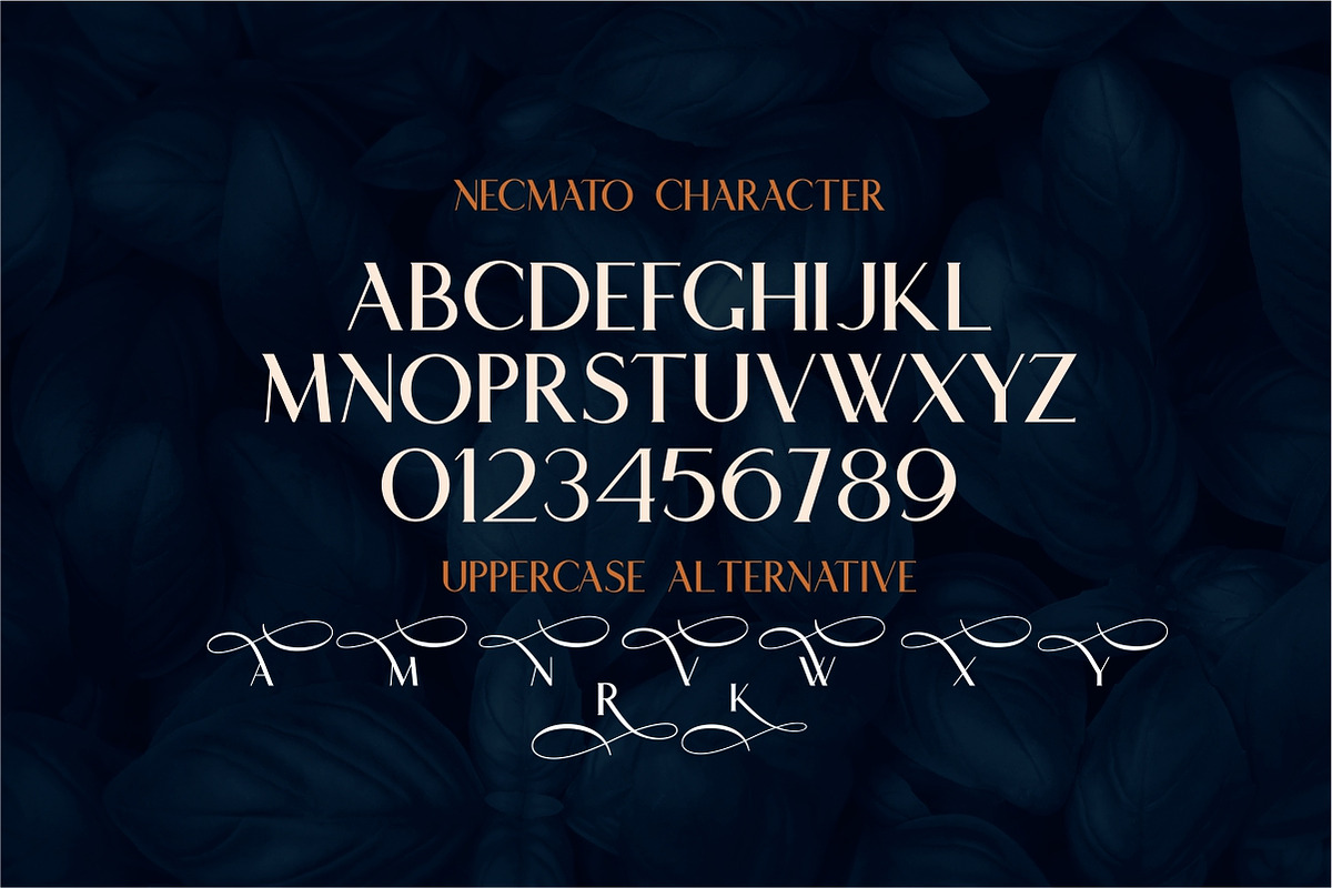 Necmato Art Deco Feel, a Serif Font by typeline studio (Photo 9 of 11)