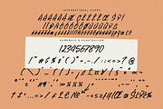 Newtonick Chodes Display Handbrush, a Script Font by Letterena Studios Script (Thumbnail 13 of 15)