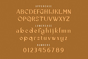Cecision, a Serif Font by Wangsinawang Studio (Thumbnail 8 of 11)