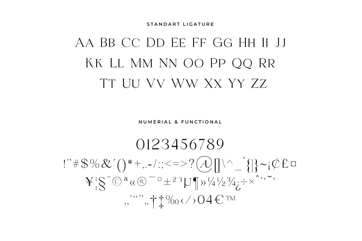 Mosseta Elegant Ligature Display, a Serif Font by RantautypeStudio (Photo 13 of 15)