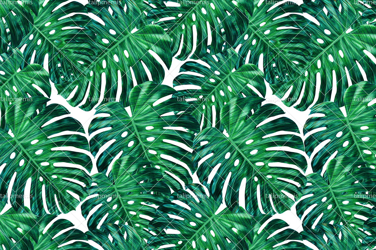 Tropical Leaves - Seamless Pattern, a Pattern Graphic by Talip Memis (Photo 1 of 6)