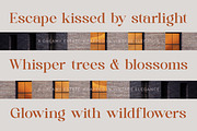 Quika Calletto Modern Serif Font, a Serif Font by timelesstype.co (Thumbnail 4 of 20)