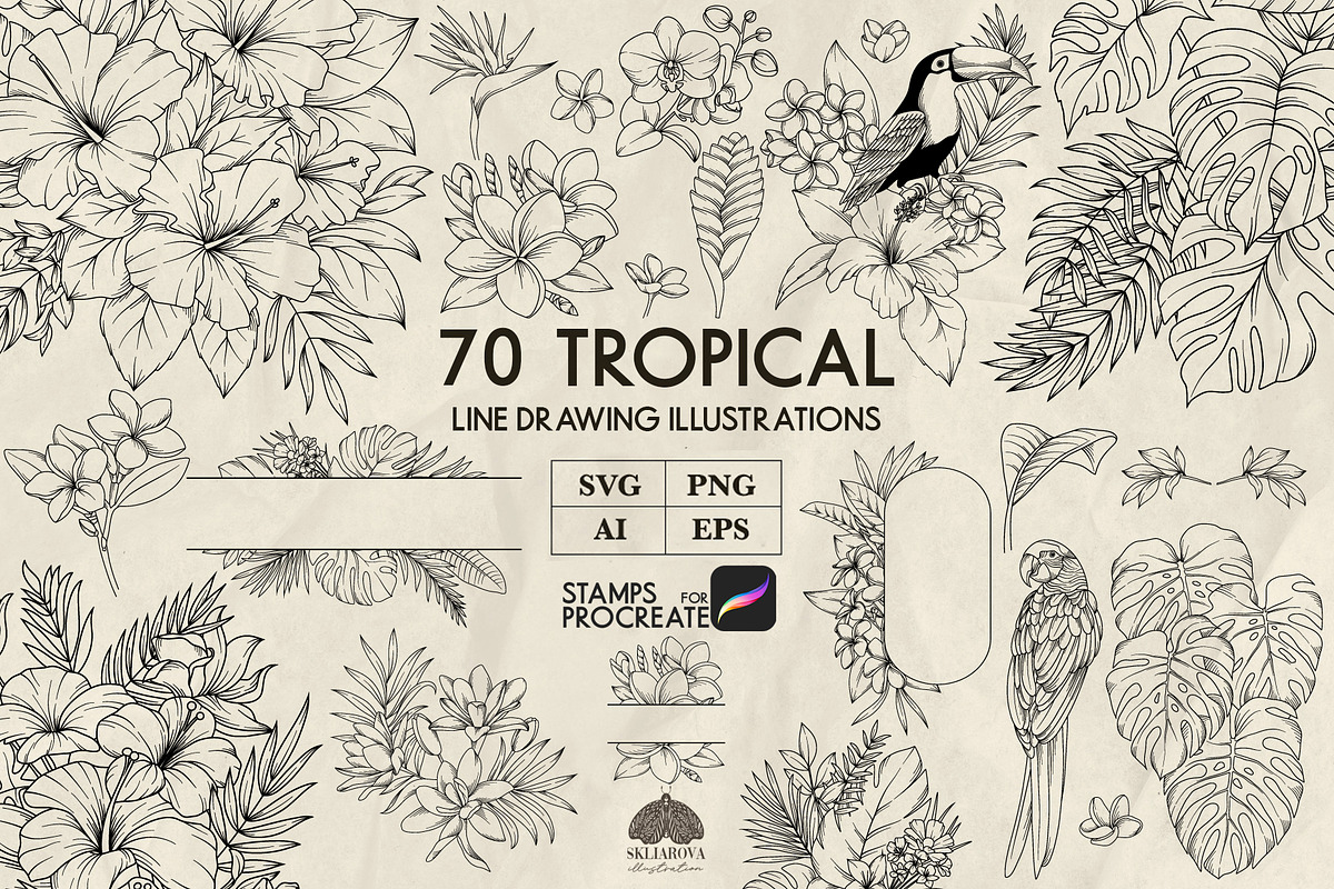 Tropical floral line art + Procreate, a Decorative Illustration by Skliarova (Photo 1 of 4)