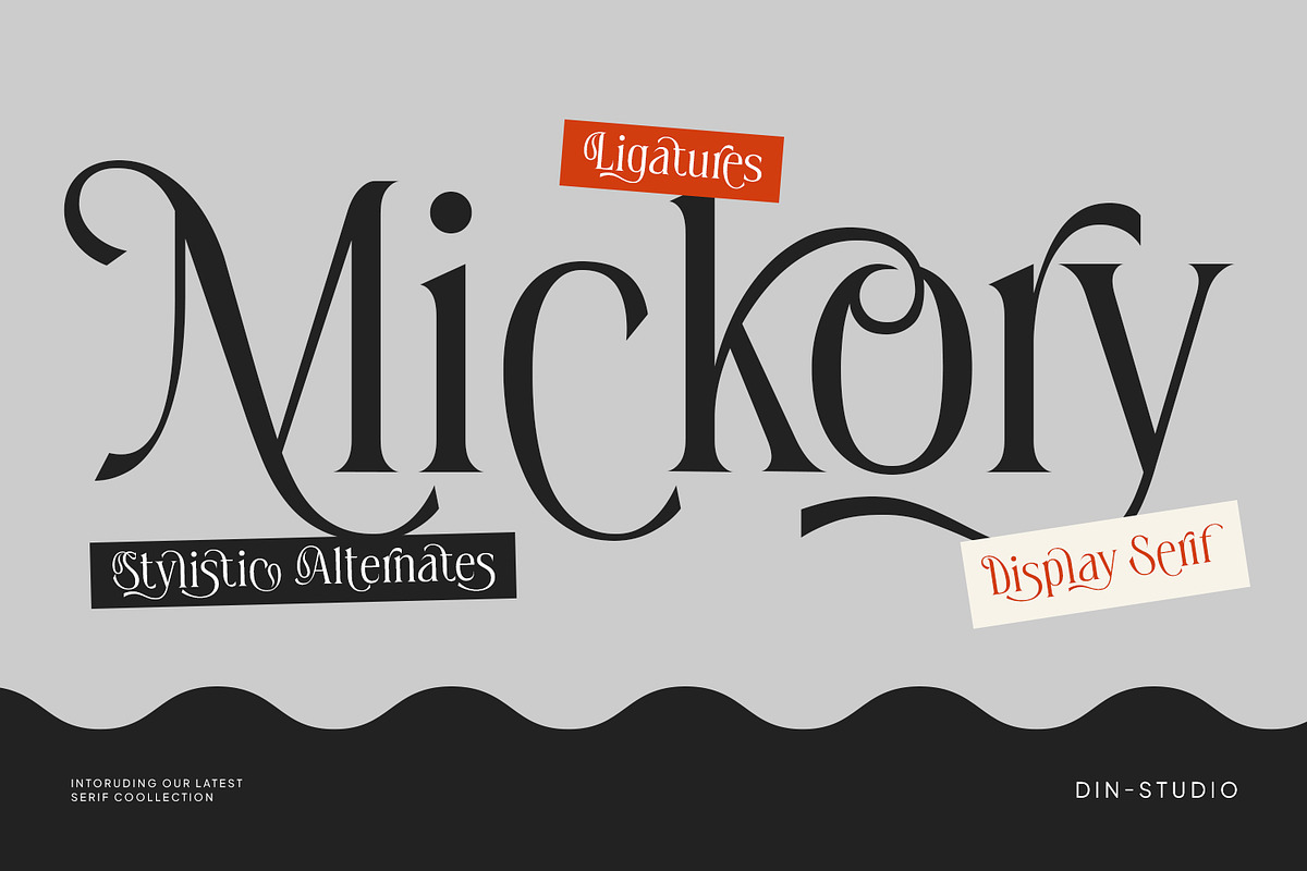 Mickory, a Serif Font by din-studio.com (Photo 1 of 11)