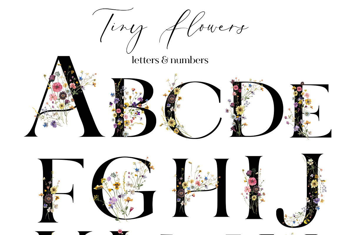 Tiny Flowers Pressed Floral Clipart, an Illustration by whiteheartdesign (Photo 8 of 17)
