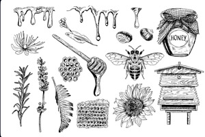 Honey vector collection, a Food Illustration by Anada Arty