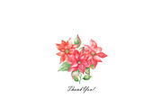 Watercolor poinsettia clipart, an Illustration by OlDm_Shop (Thumbnail 10 of 10)