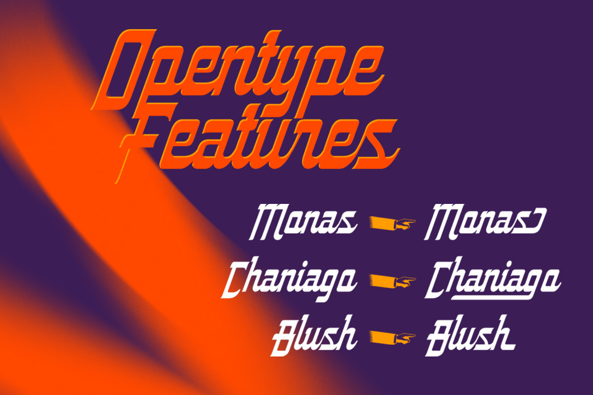 Borndland - Script Display, a Script Font by Letterhend Studio (Photo 7 of 9)