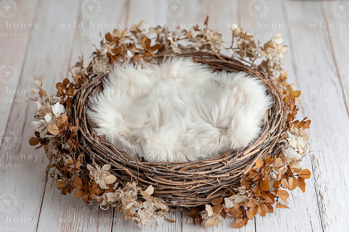 Newborn Nest Digital Backdrop, a Layer Style Add-On by Wild Honey Design Co. (Photo 2 of 2)