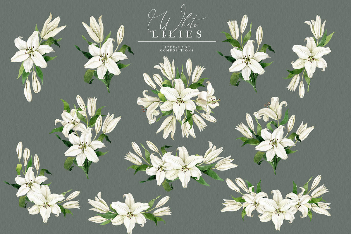 White Lilies Watercolor Set, an Illustration by Natalia Fedorova (Photo 8 of 12)