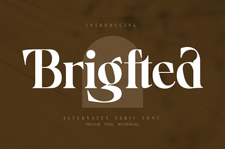Brigfted Alternates Serif Font, a Serif Font by Storytype Studio