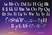 Bidqse Modern Display Serif, a Serif Font by timelesstype.co (Thumbnail 18 of 20)