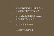 Sasha Marceline Serif Font, a Serif Font by UICreative (Thumbnail 6 of 6)