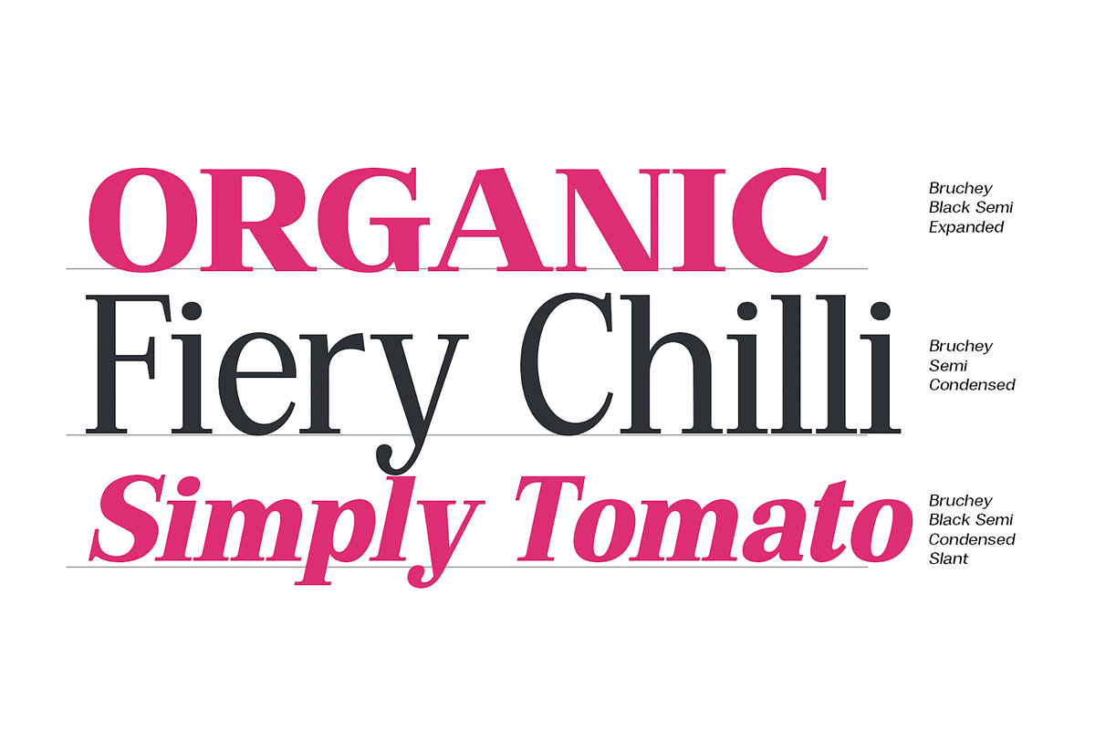 Bruchey Serif, a Serif Font by Fargun Studio (Photo 2 of 15)