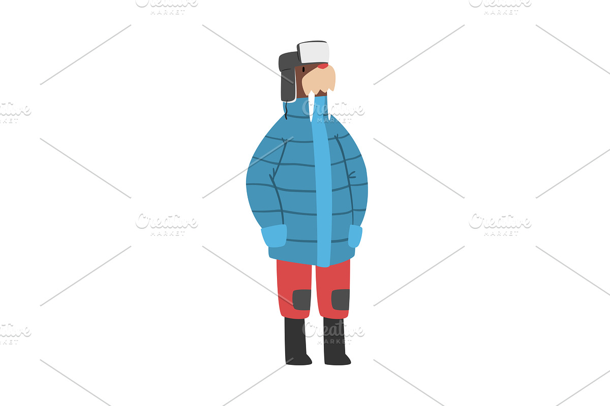 Walrus Wearing Warm Jacket and Hat, an Animal Illustration by TopVectors