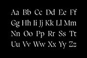 Silene - Elegant Serif Typeface, a Serif Font by Piotr Łapa (Thumbnail 4 of 12)
