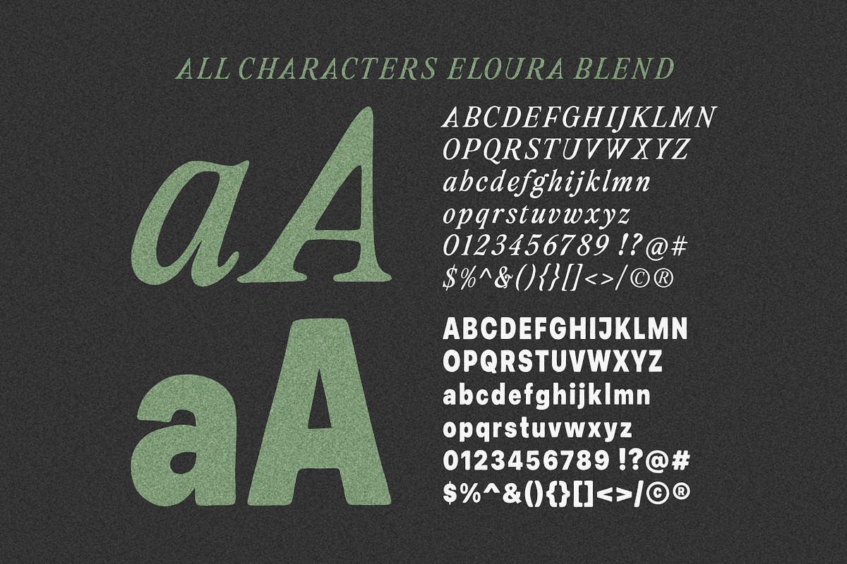 Eloura Blend - Font Duo, a Serif Font by ErgibiStudio (Photo 9 of 10)