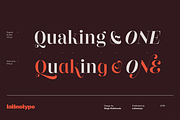 Couturier Poster, a Font by Latinotype (Thumbnail 10 of 14)