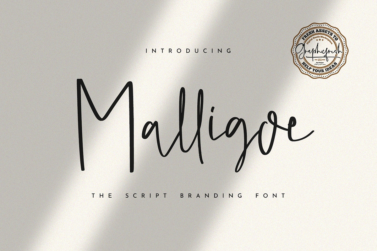 Malligoe - The Script Branding Font, a Script Font by Graphicfresh (Photo 11 of 11)