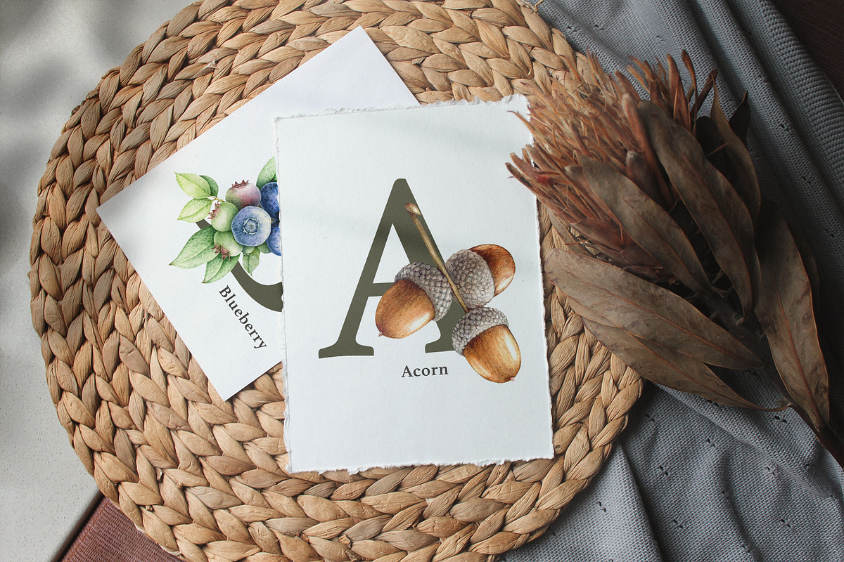 Forest Alphabet Watercolor Clipart, an Education Illustration by AnitaPol (Photo 2 of 12)