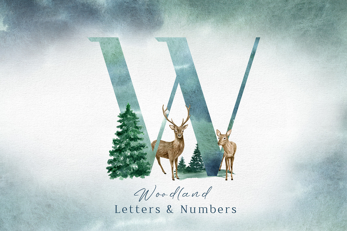 Winter Deer Watercolor Collection, an Animal Illustration by Olya Haifisch (Photo 4 of 9)