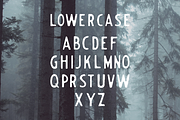 EVERGREEN - Hand drawn typeface, a Font by Mark Richardson (Thumbnail 3 of 4)
