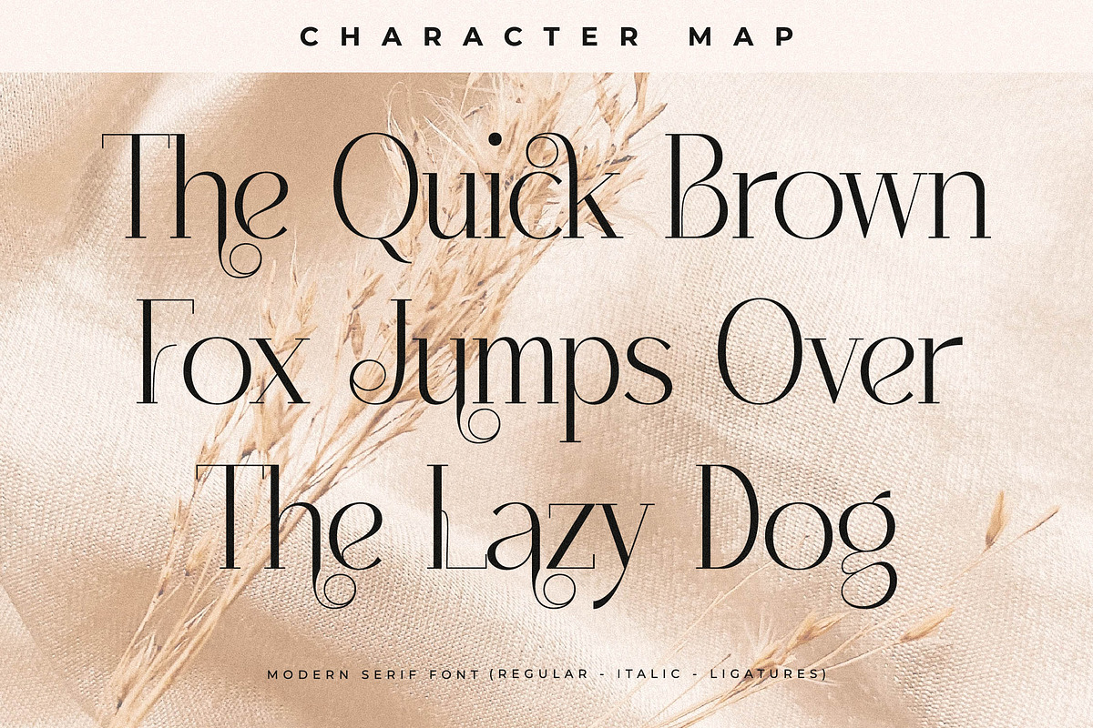 Qenliago Modern Serif Font, a Serif Font by Storytype Studio (Photo 4 of 15)