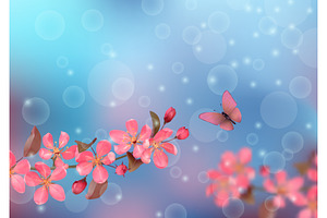 Butterfly And Cherry Blossoms With