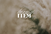 Abstract Blurry Nature Backgrounds, a Background Graphic by digital.incubator.yum (Thumbnail 10 of 11)