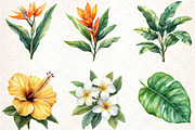 Watercolor Tropical Flowers Clipart, a Seasonal Illustration by Rose Art (Thumbnail 4 of 6)