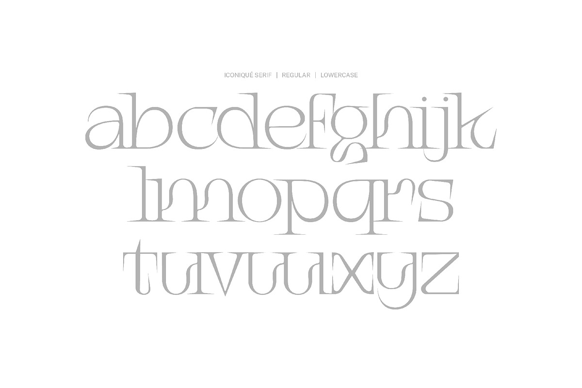 Iconique Serif Regular, a Serif Font by Nguyen Type (Photo 4 of 9)