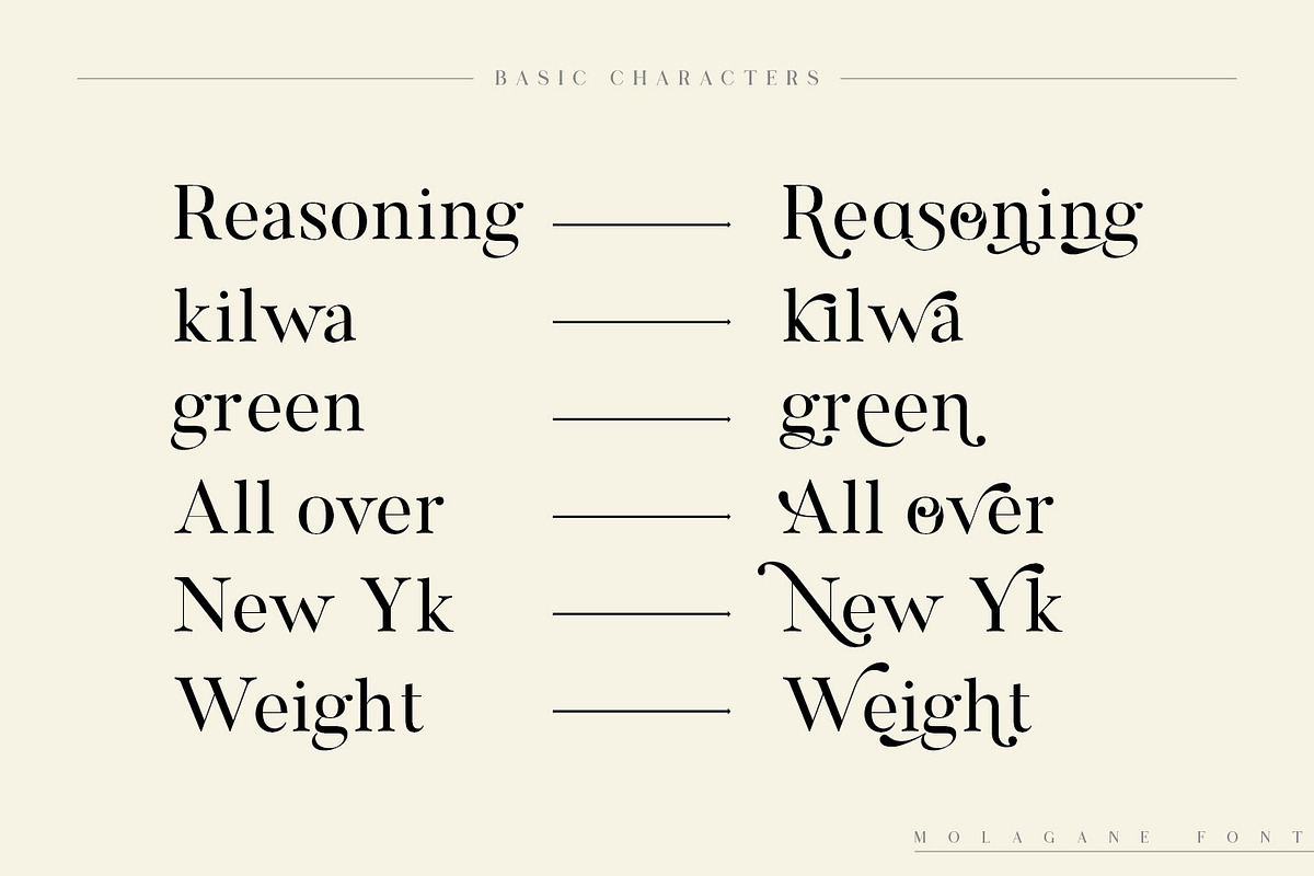 Molagane | Fancy Serif Typeface, a Serif Font by Qaratype (Photo 9 of 26)
