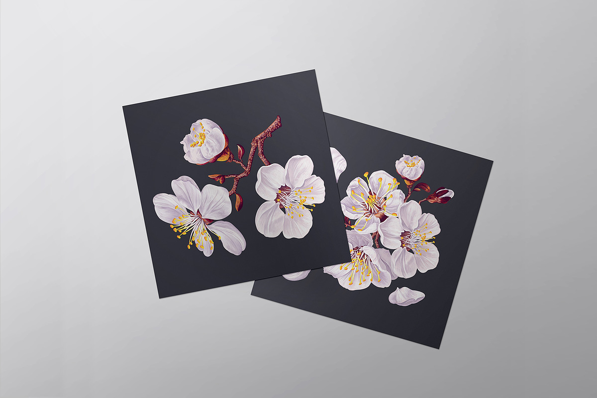 Apricot Branches Big Floral Set, an Illustration by MarynaPetrovska (Photo 20 of 23)