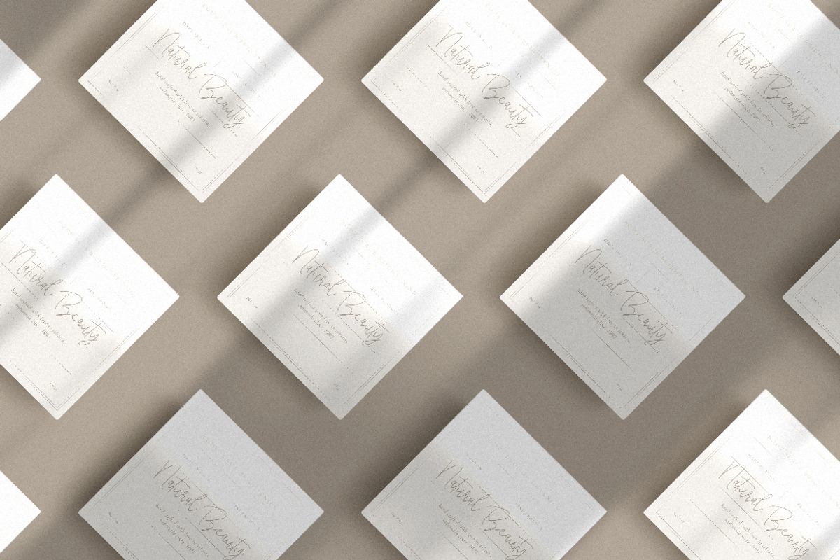 Anastasya Monoline Script, a Script Font by Creatype Studio (Photo 7 of 9)