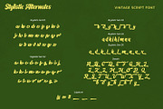 Glowing Midnight, a Script Font by Vintage Division (Thumbnail 10 of 10)