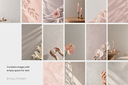 Beauty Aesthetic Stock Photos, a Beauty & Fashion Photo by Ollyta May (Thumbnail 4 of 8)