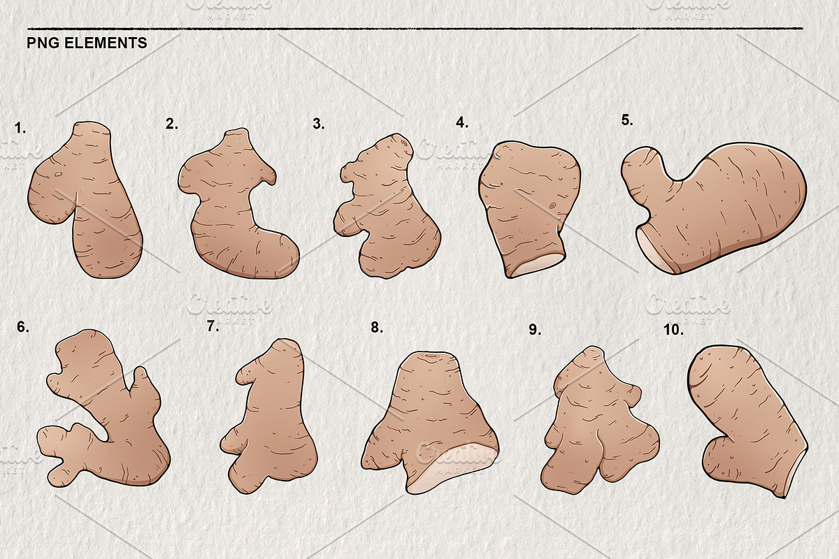 Ginger Set 10 PNG, a Food Illustration by LOKSKIH (Photo 3 of 3)