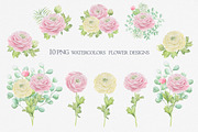 Watercolor ranunculus., an Illustration by BrushArtDesigns (Thumbnail 3 of 6)