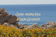 Quiet Garden Font Duo Retro Whimsy, a Script Font by Sixtype (Thumbnail 6 of 8)
