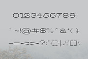 Banquo Serif Font Family, a Serif Font by Symufa (Thumbnail 3 of 6)