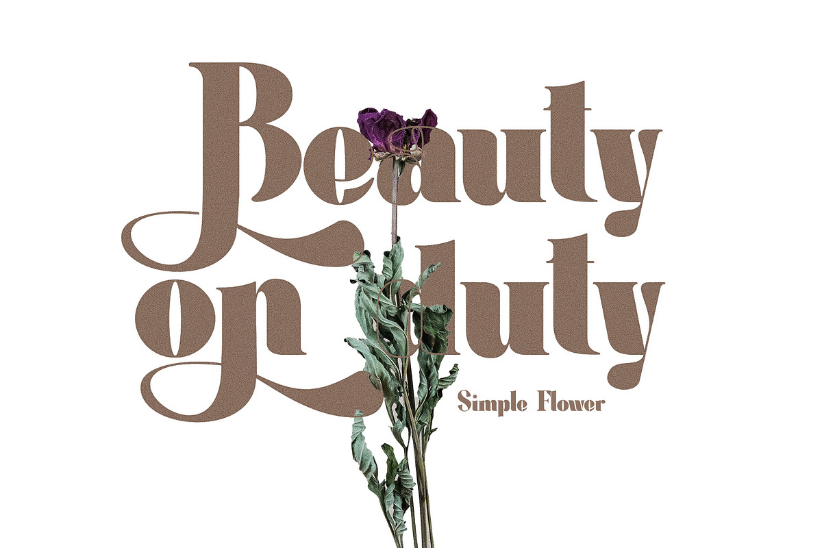Megina Elegant Ligature Serif Font, a Serif Font by Perfectype (Photo 3 of 9)