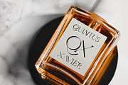 Quarx - Sans & Serif Modern Font Duo, a Sans Serif Font by SilverStag Type Foundry (Thumbnail 5 of 18)